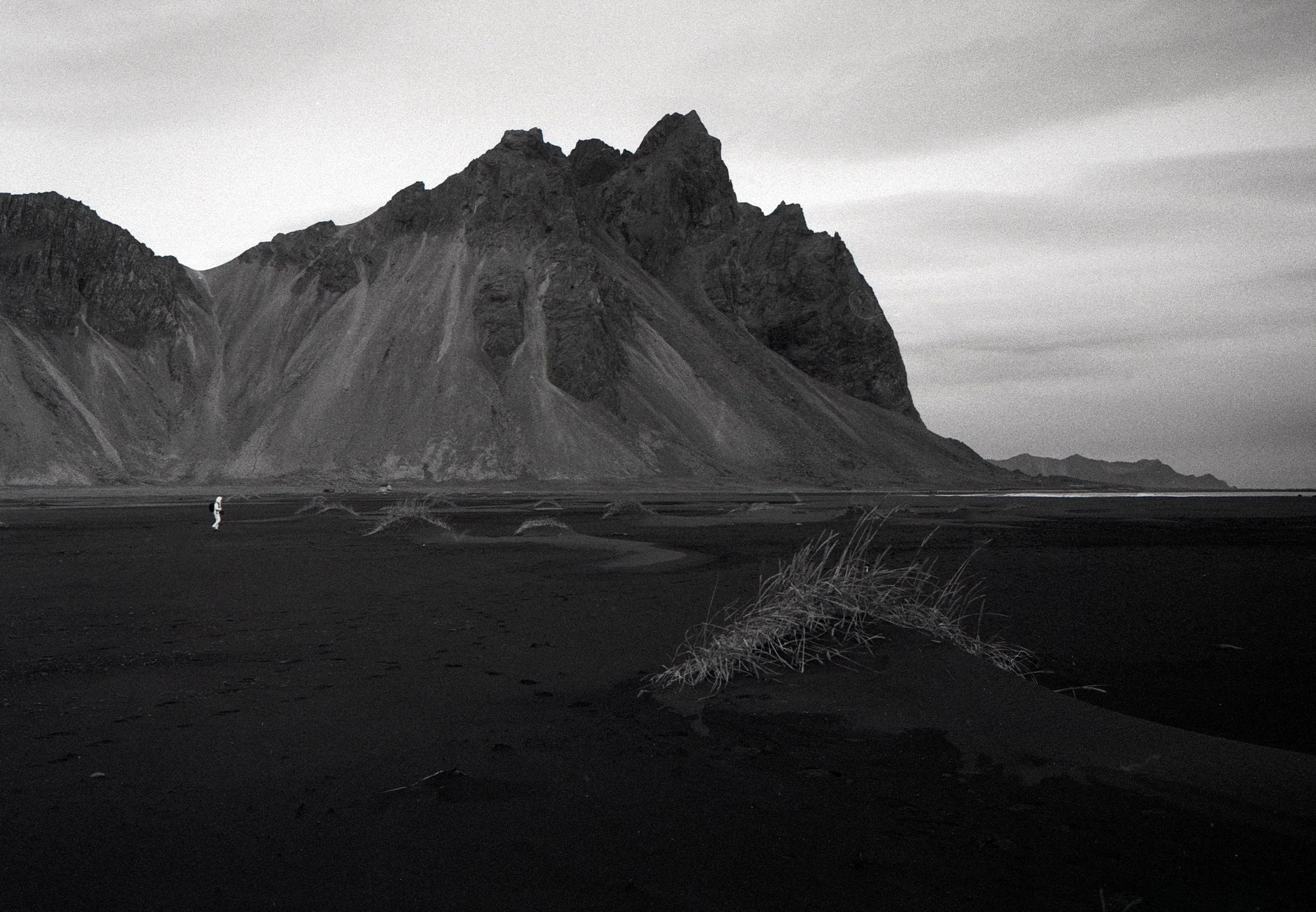 Island 2025_Analog-110.jpg