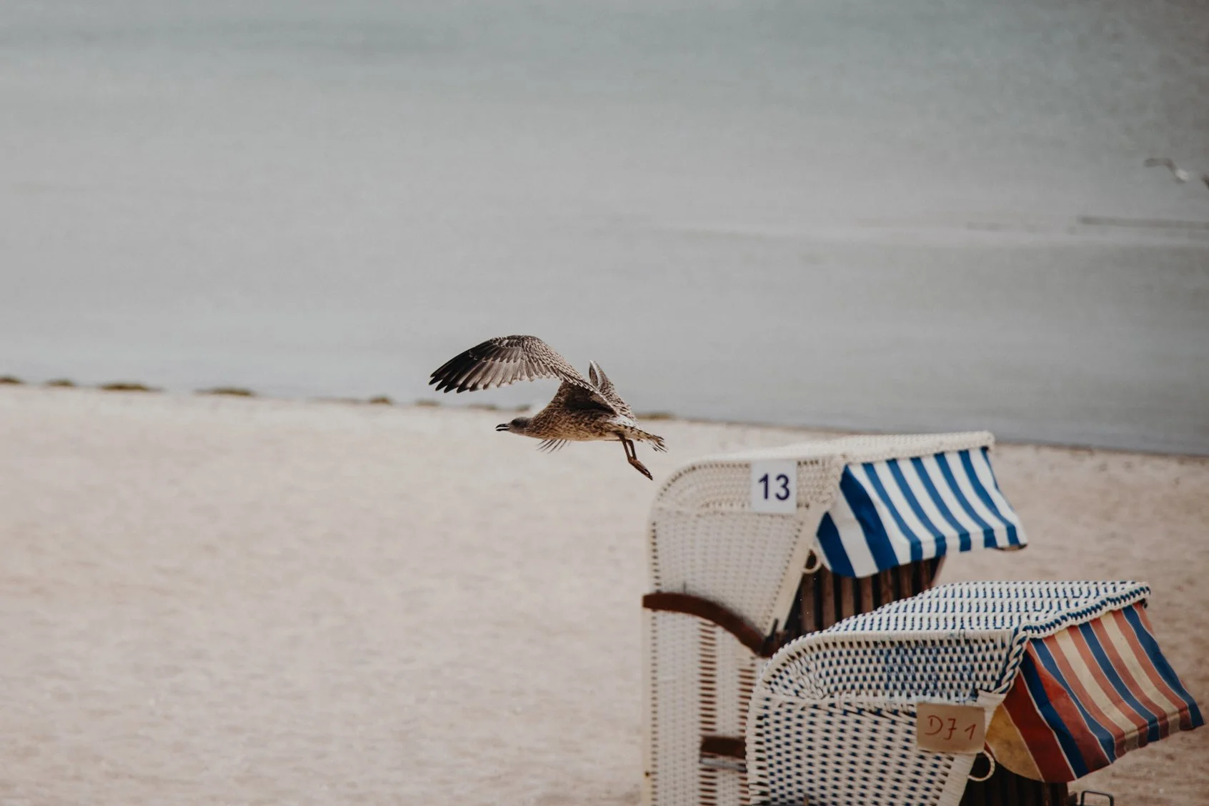 Strandhochzeit in Scharbeutz