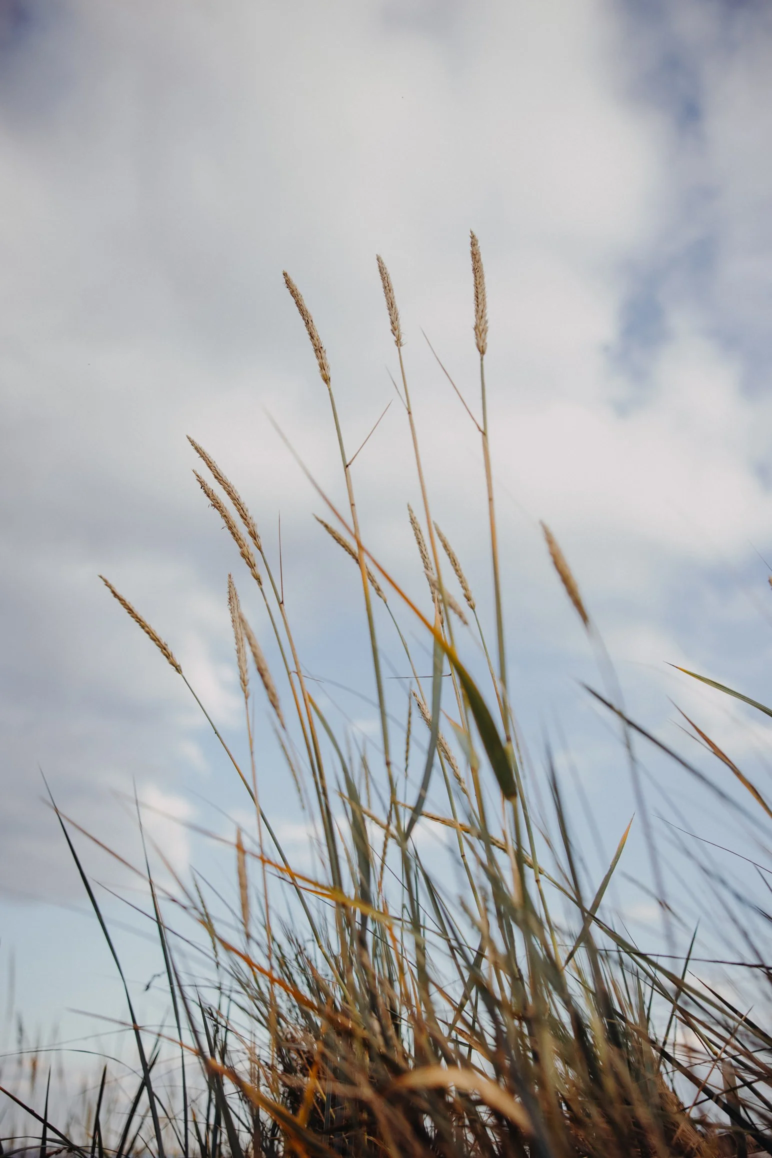 STrand in Scharbeutz
