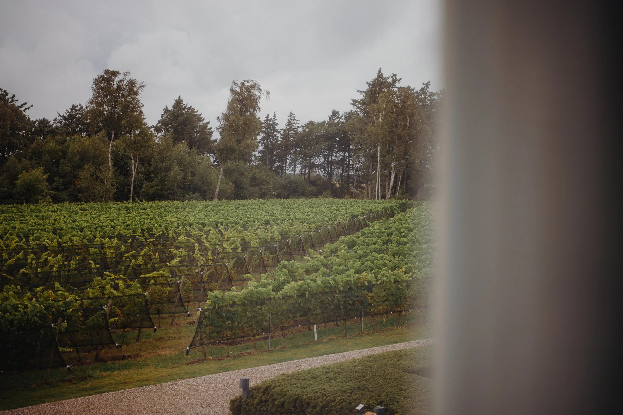Weingut Waalem auf Föhr