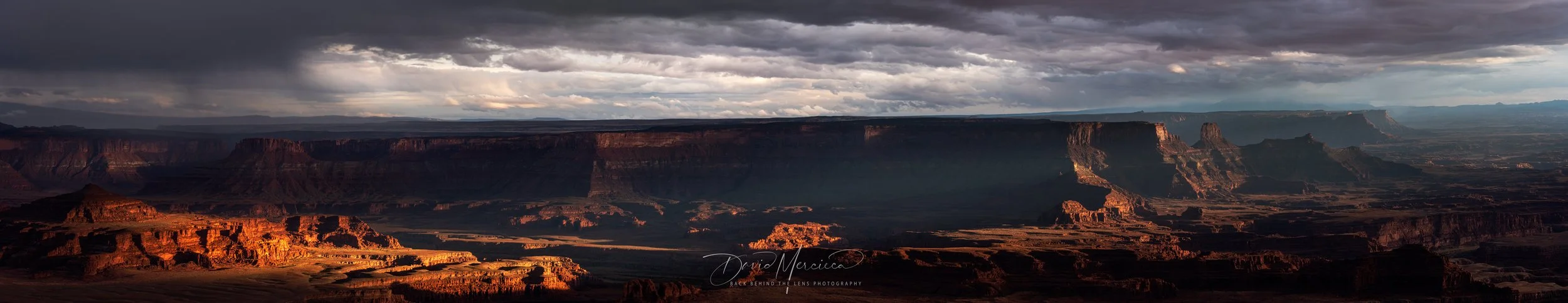 Canyon Spotlight.jpg