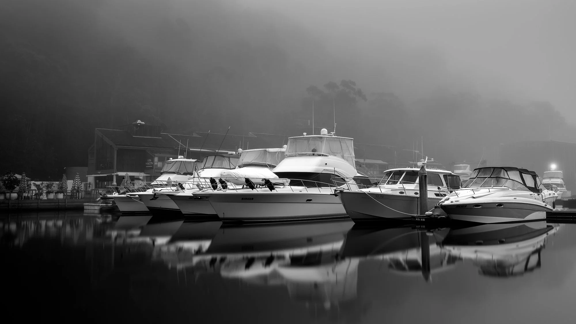 Black and white photo of several yachts and boats docked at a marina with reflections on the calm water, foggy background, and trees and buildings in the distance.