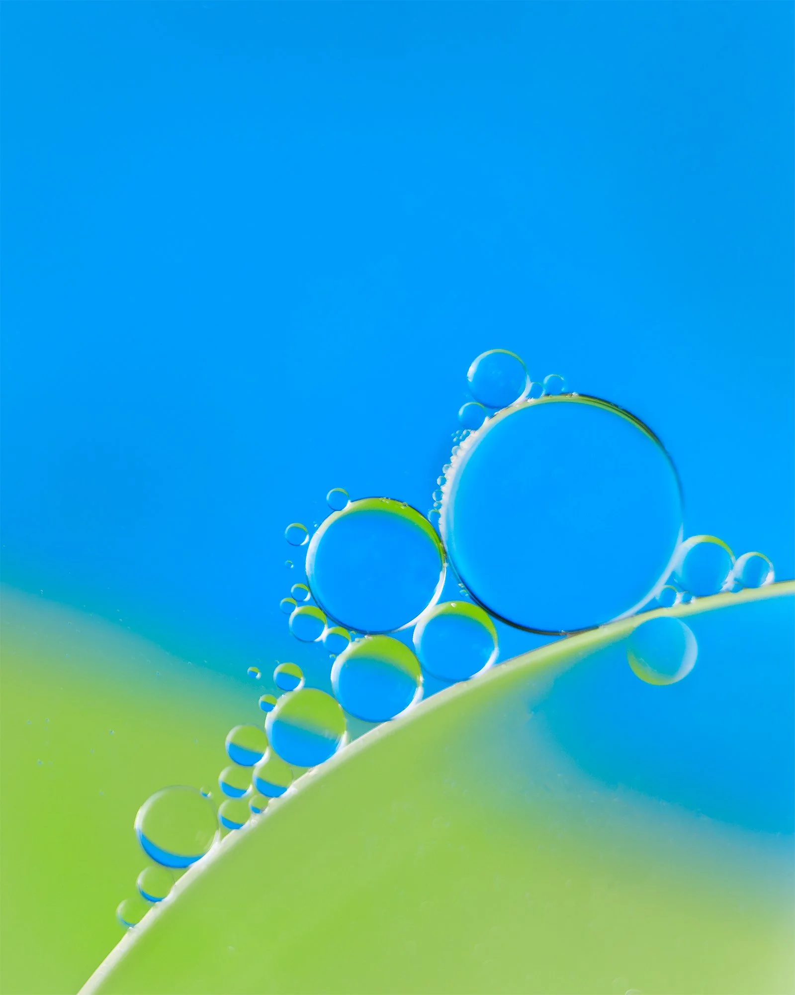 Close-up of oil droplets on a green leaf with a blurred blue sky background.