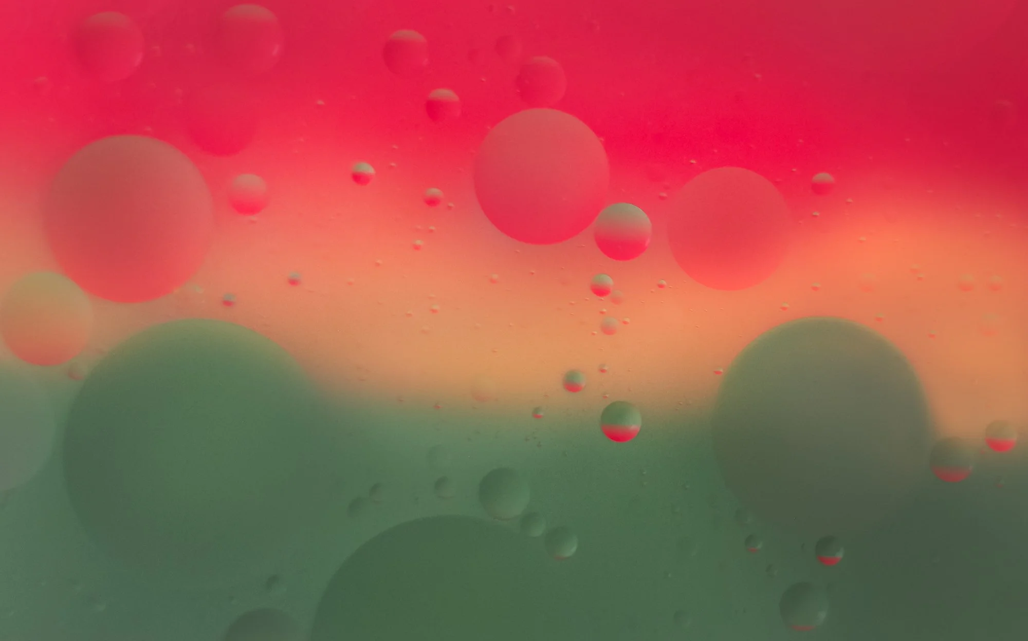 Abstract image of oil droplets in water with a red and green gradient background.