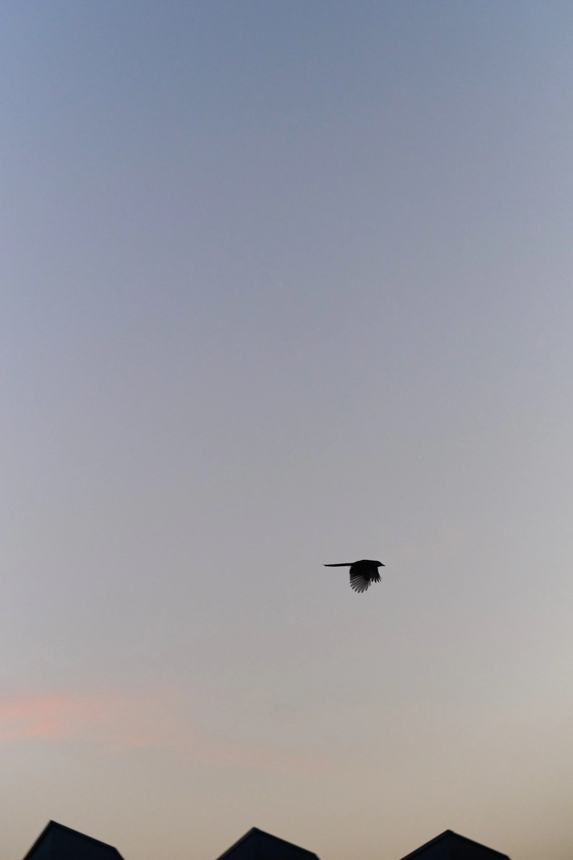 rCED_1120.jpg