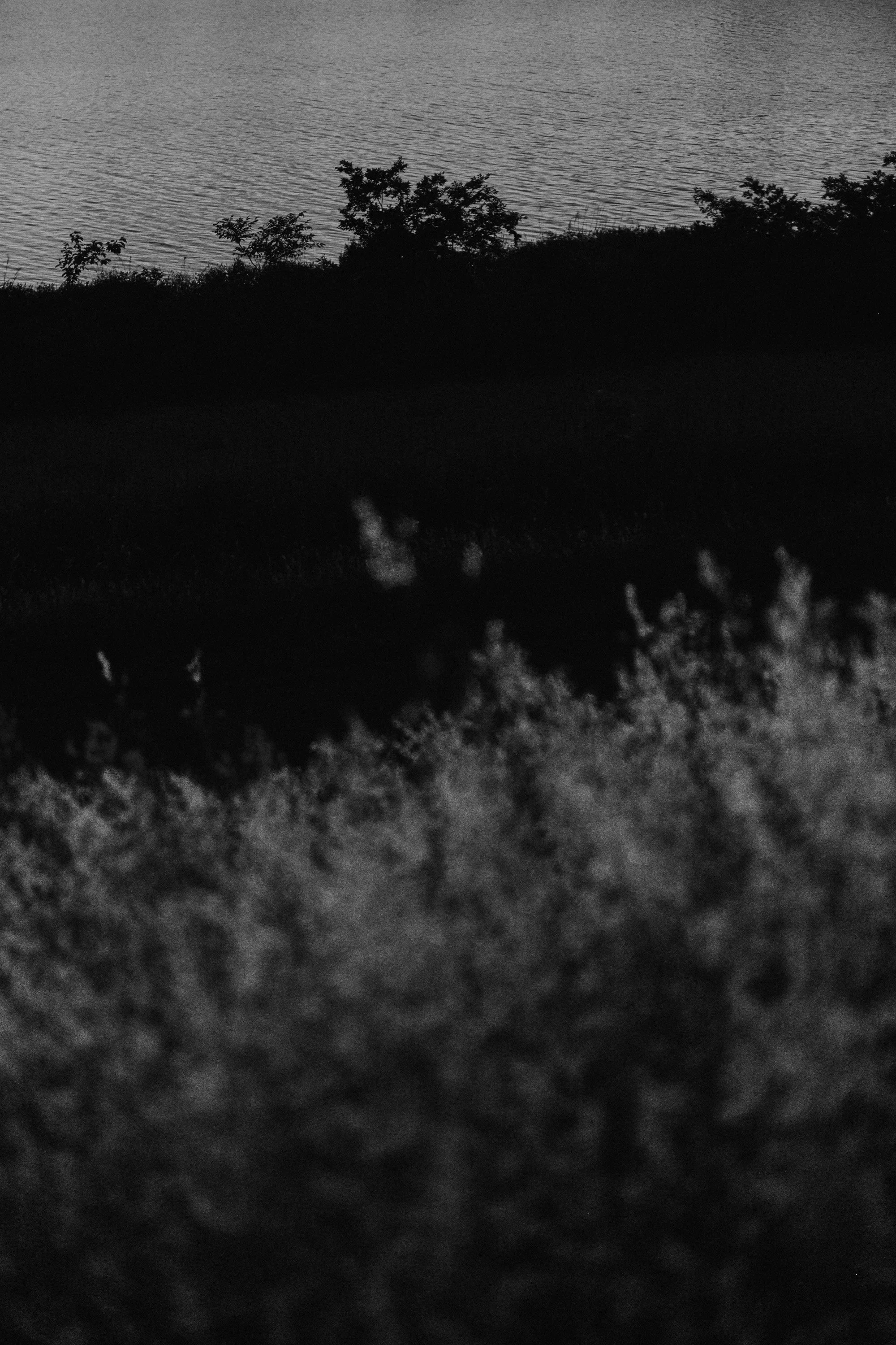 rCED_8709 1.jpg