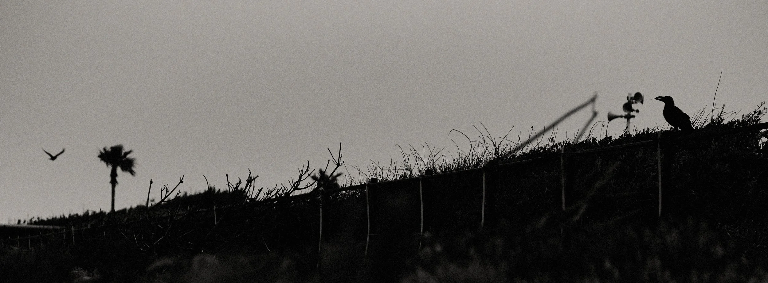 rCED_3234 1.jpg