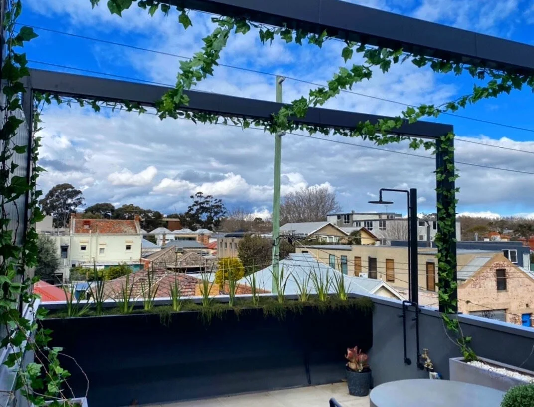 Rooftop Terrace decked out with suspended planter box and arbours 
🌱 🍃 🌿
.
.
#fabrication #metalwork #landscape #planterbox #arbours #powdercoat #plants #vines #crawlers #weld #metalfab #design #construction #builder #focalfabrication