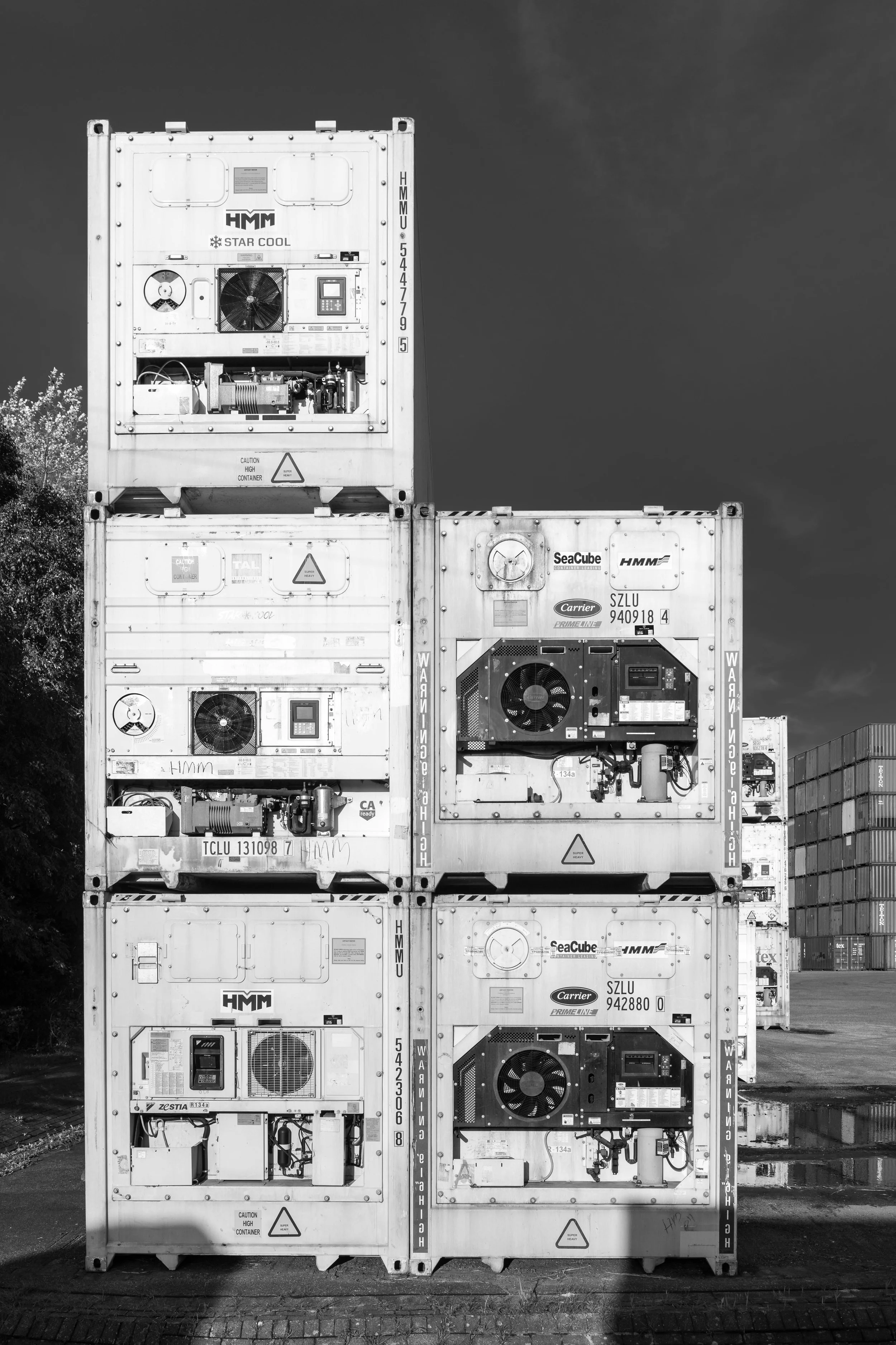 How the Cold Chain Works in Fresh Produce Export | Riyp