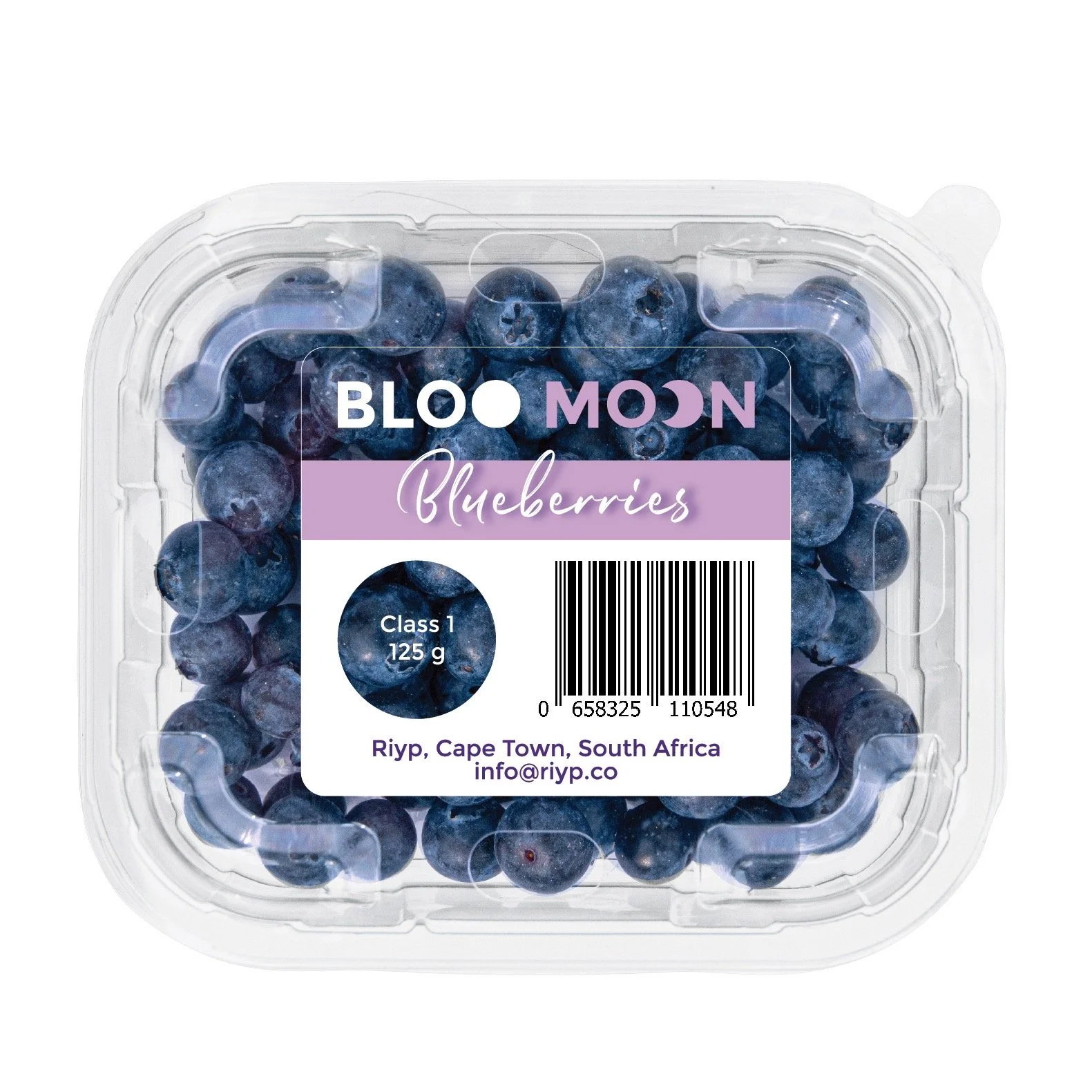 Bloo Moon premium South African blueberries Rustenburg Groblersdal Western Cape