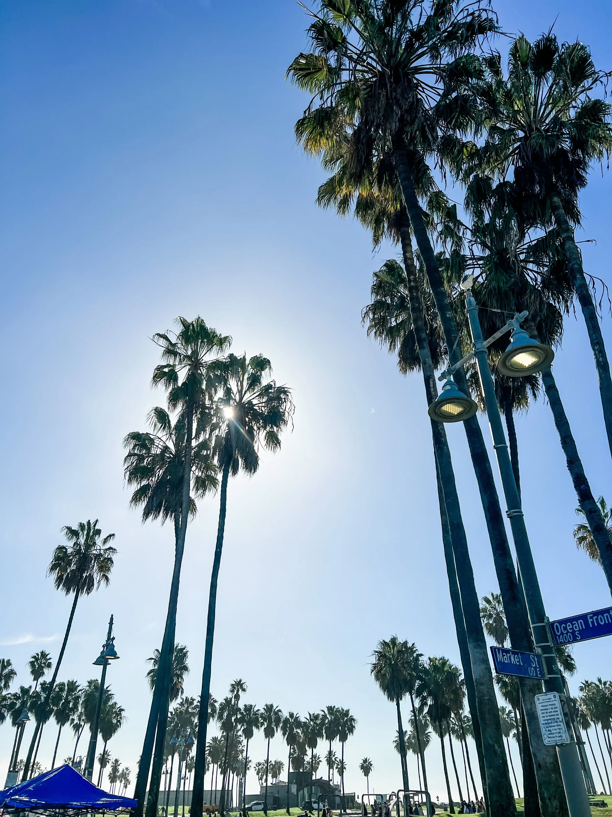sunny california.JPG