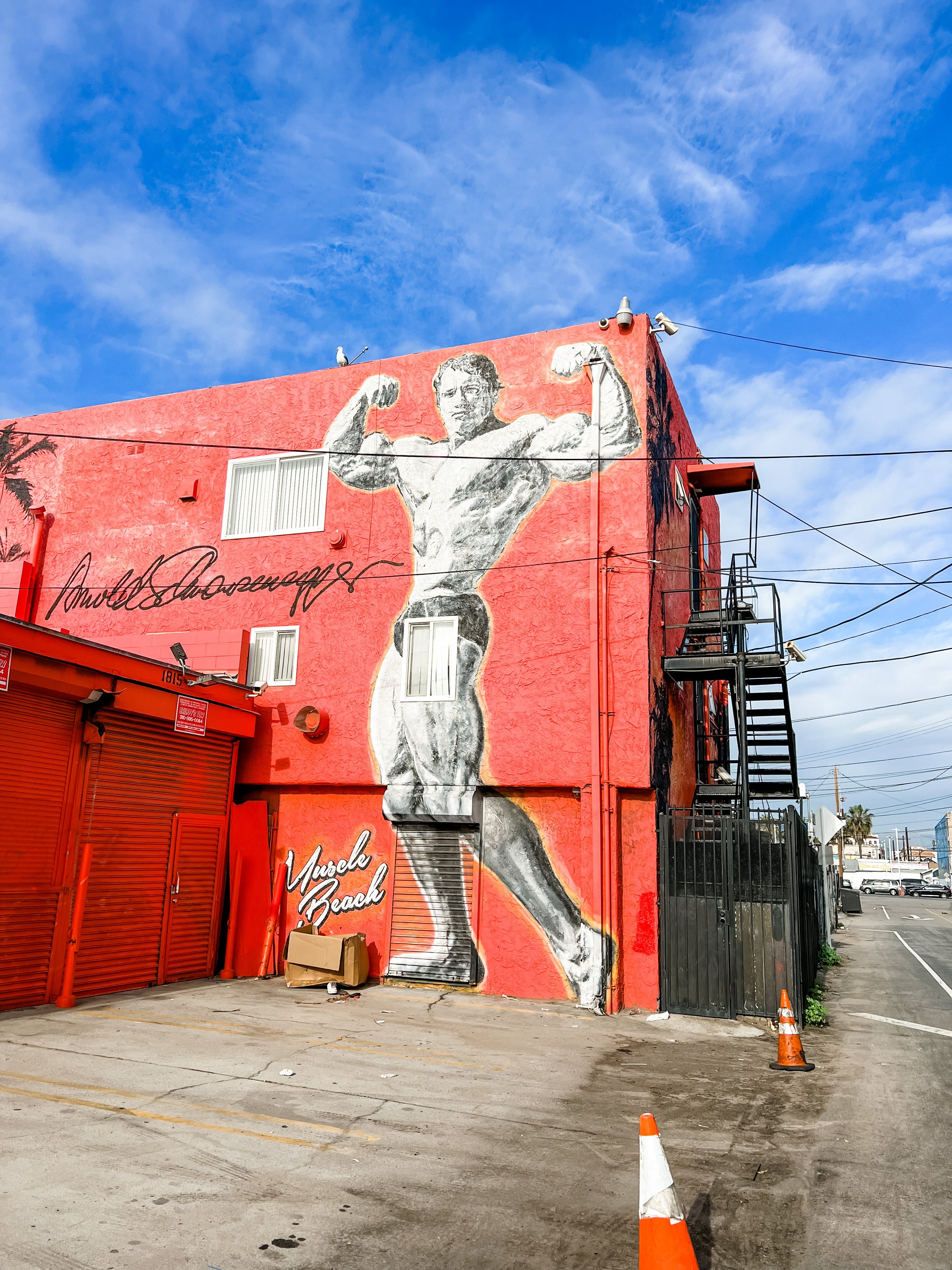 muscle beach.JPG