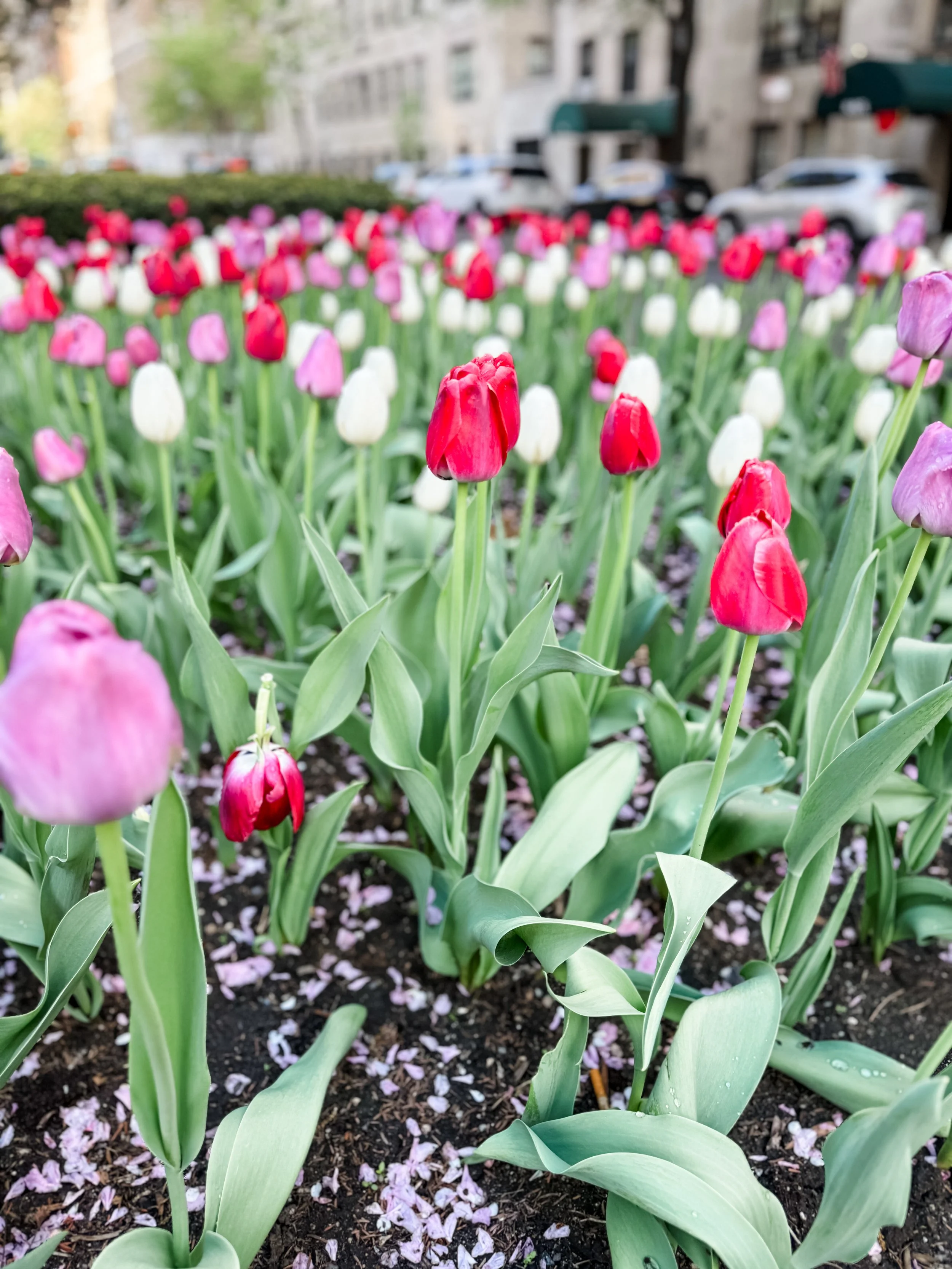 April’s Conscious Covets 