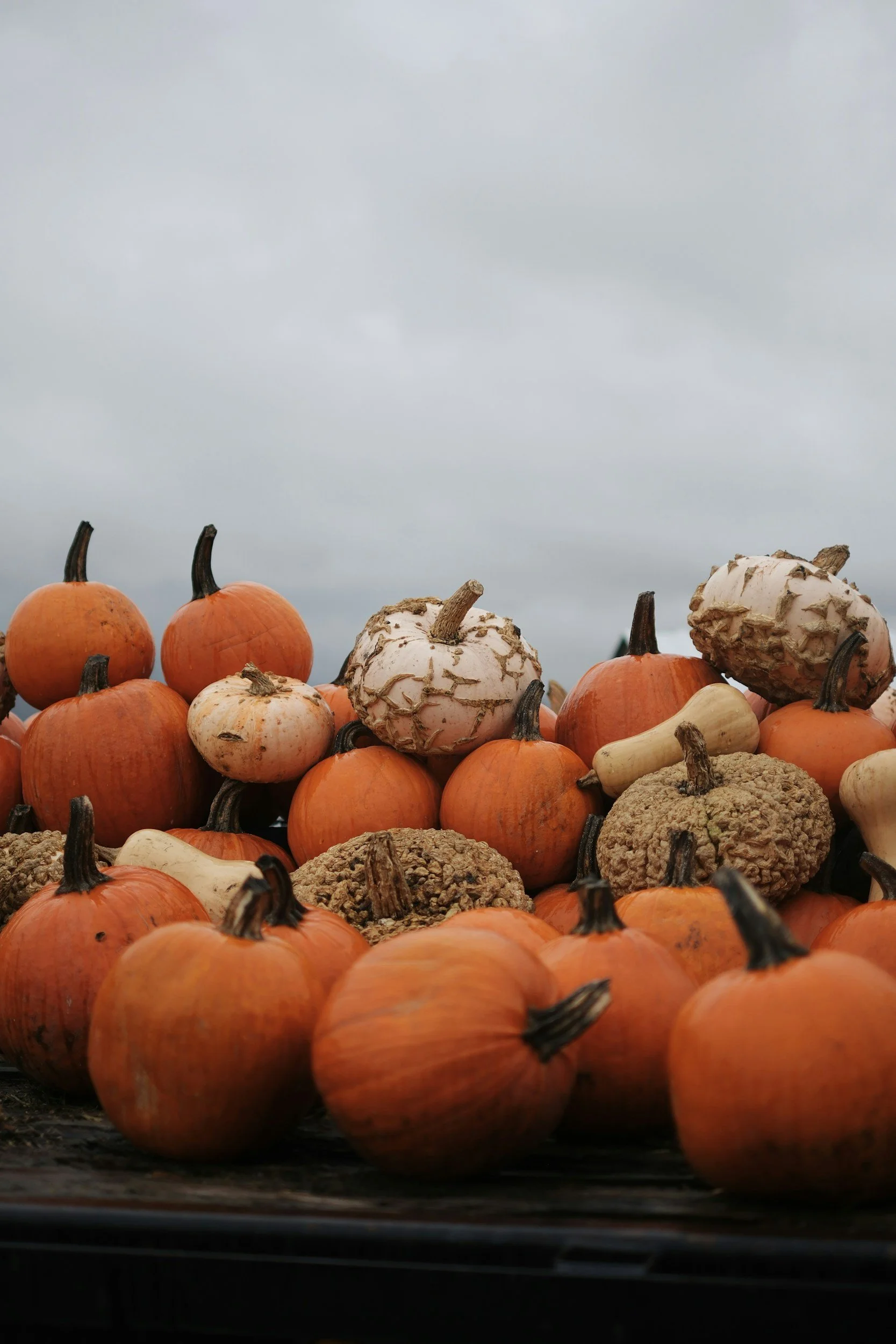 What's in Season Right Now: Fall Produce Worth Filling Your Plate With