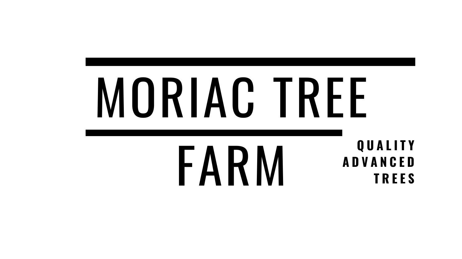 Moriac Tree Farm | Quality Advanced Trees