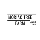 Moriac Tree Farm | Quality Advanced Trees