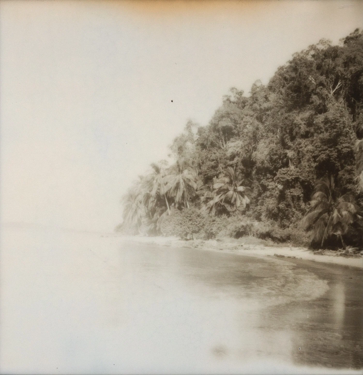 Palawan In Monocrome