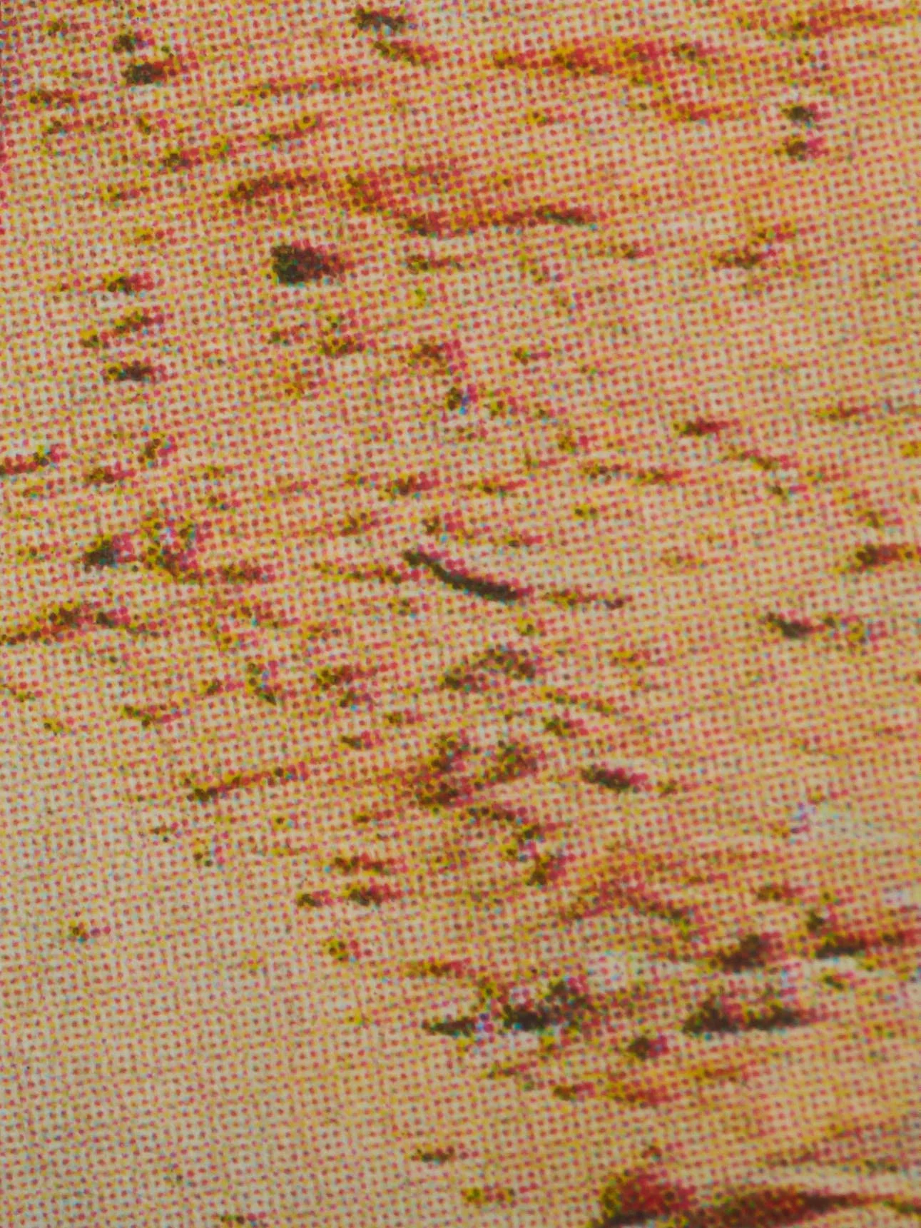 21249-BOLZONI-ACCUMULO-LEGS-228-0007 1.jpg