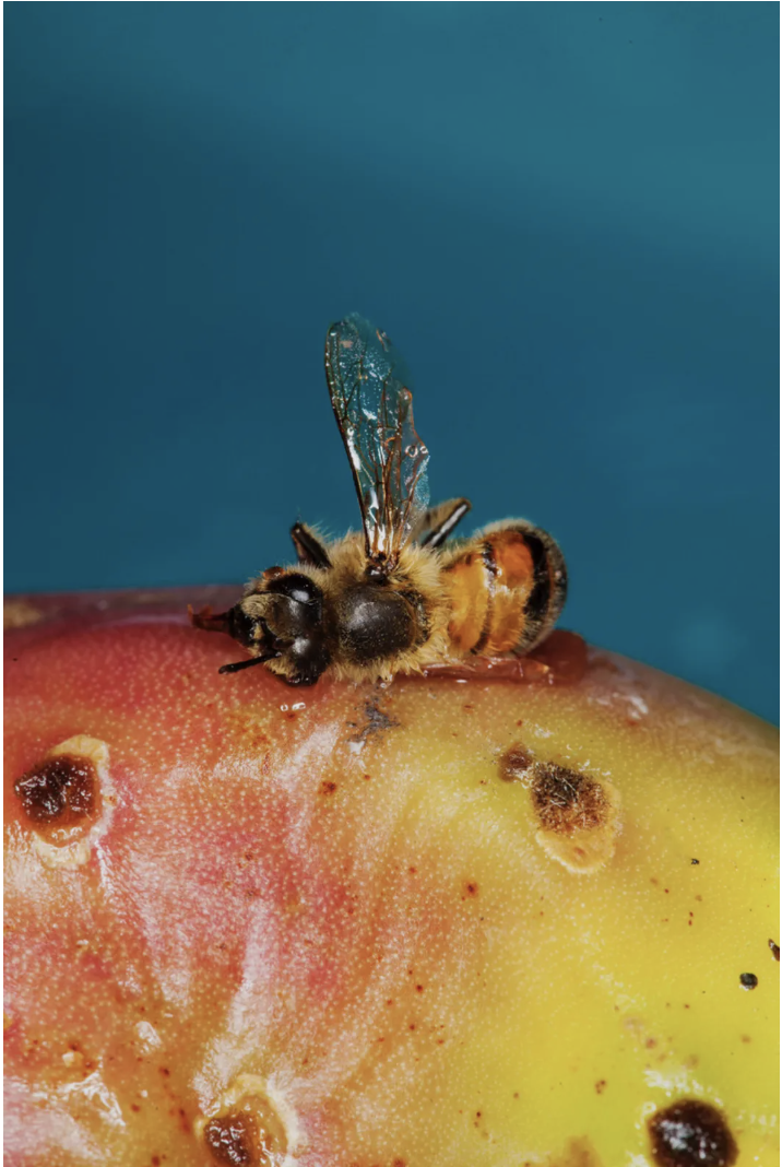 Screenshot 2026-01-27 at 8.50.46 pm.png