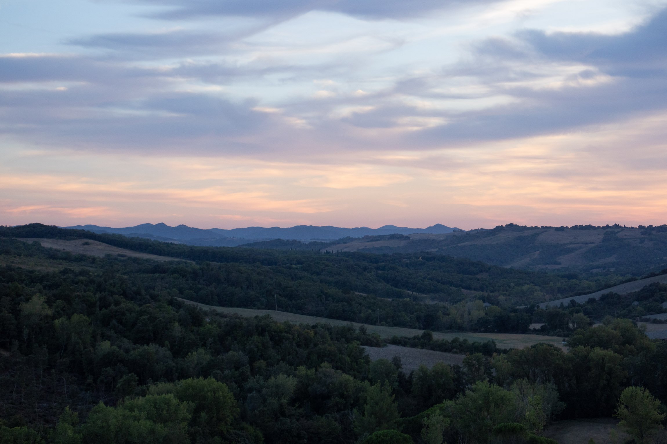 AmongstTuscanTrees26-7223.jpg
