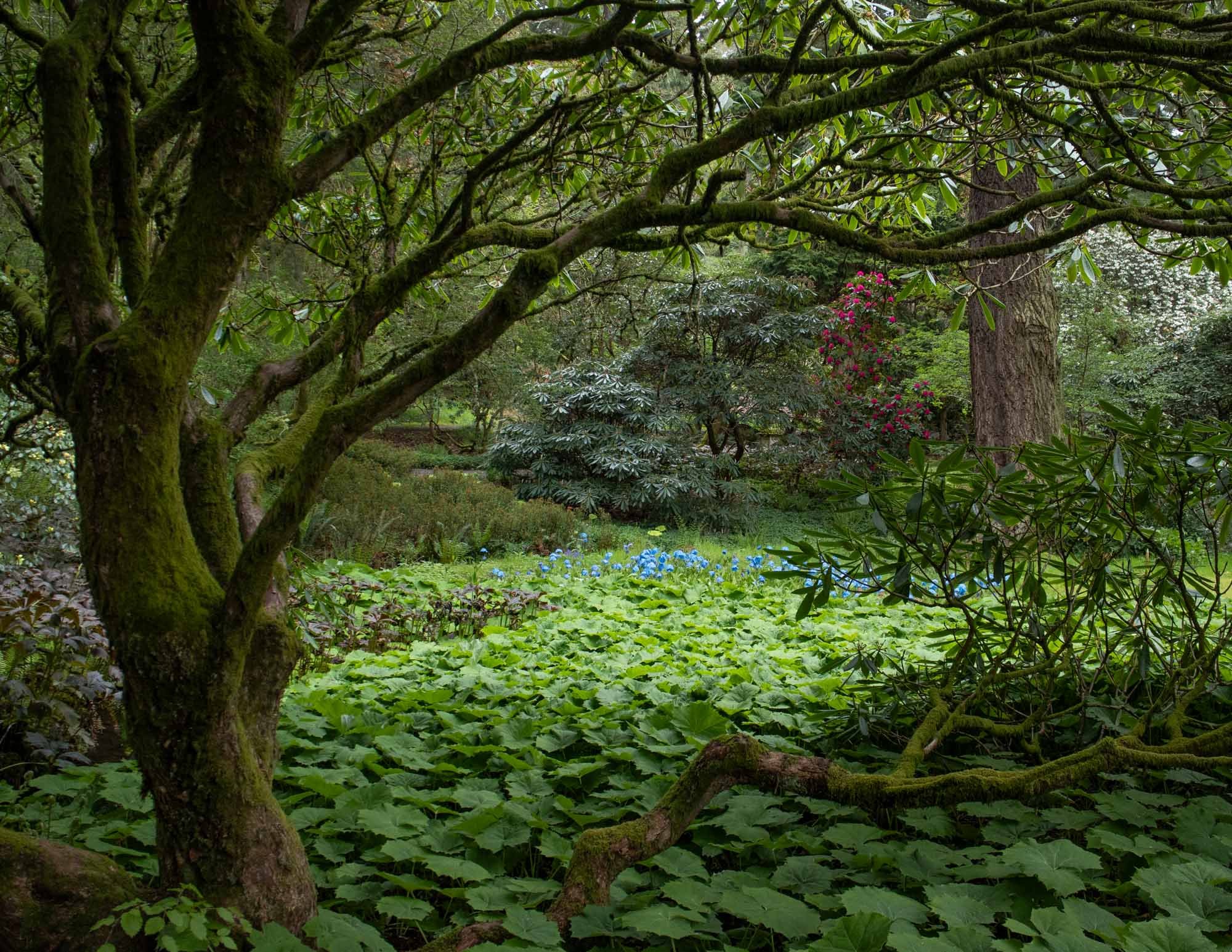DAWYCK-5071.jpg