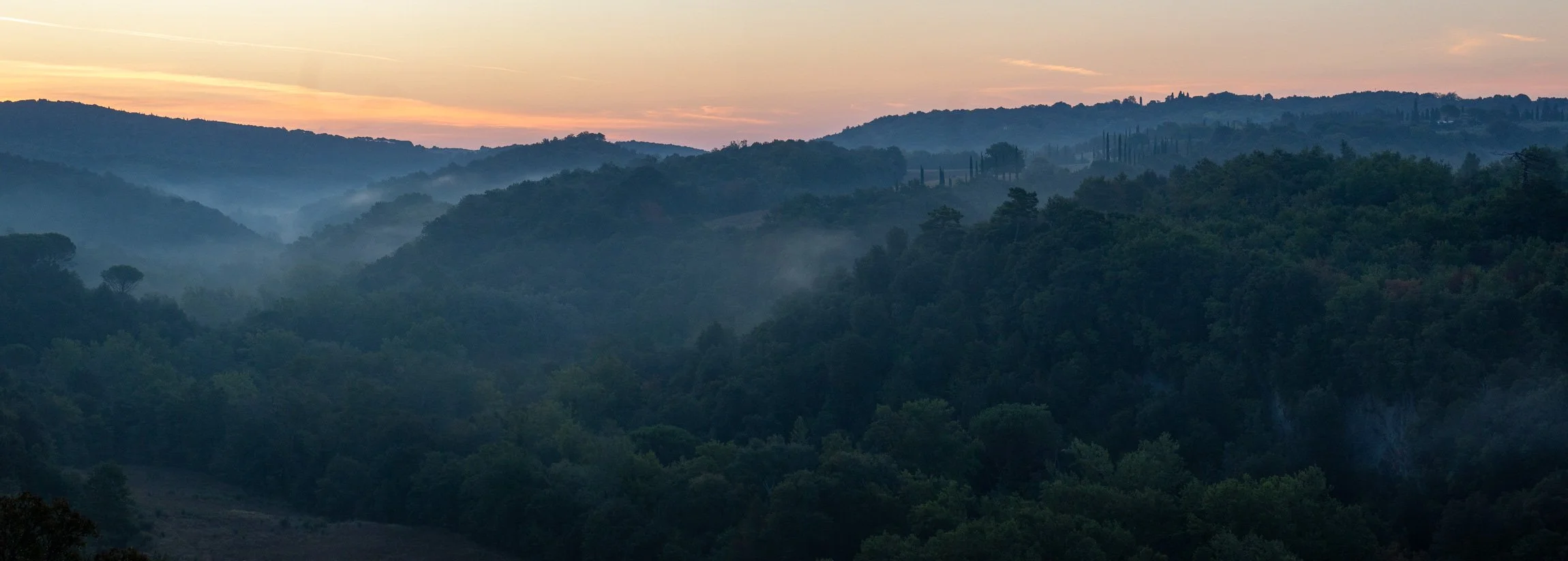 AmongstTuscanTrees26-.jpg
