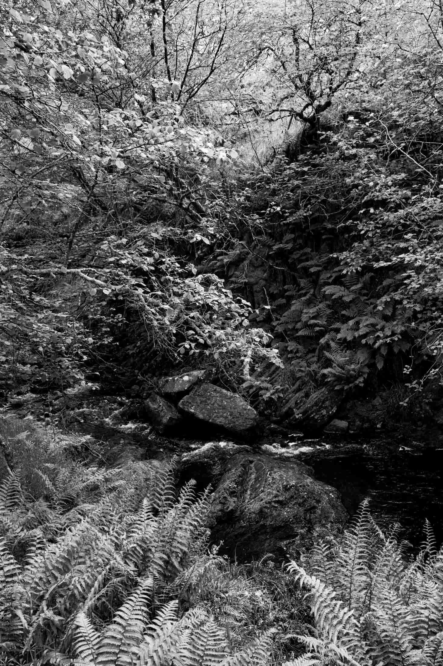 Burn Descending from the Hill II