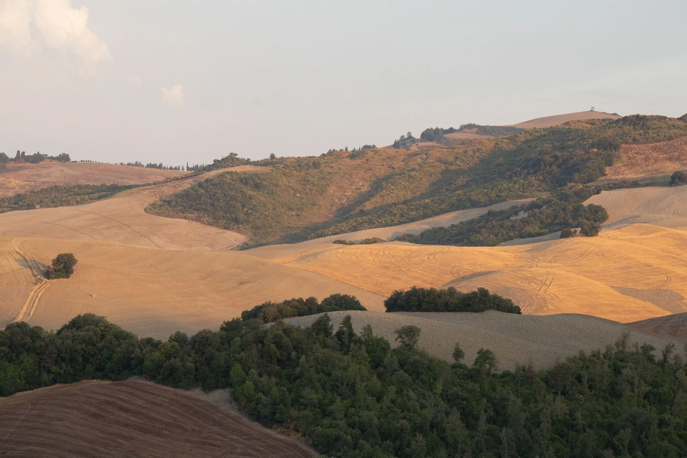 AmongstTuscanTrees26-7012.jpg