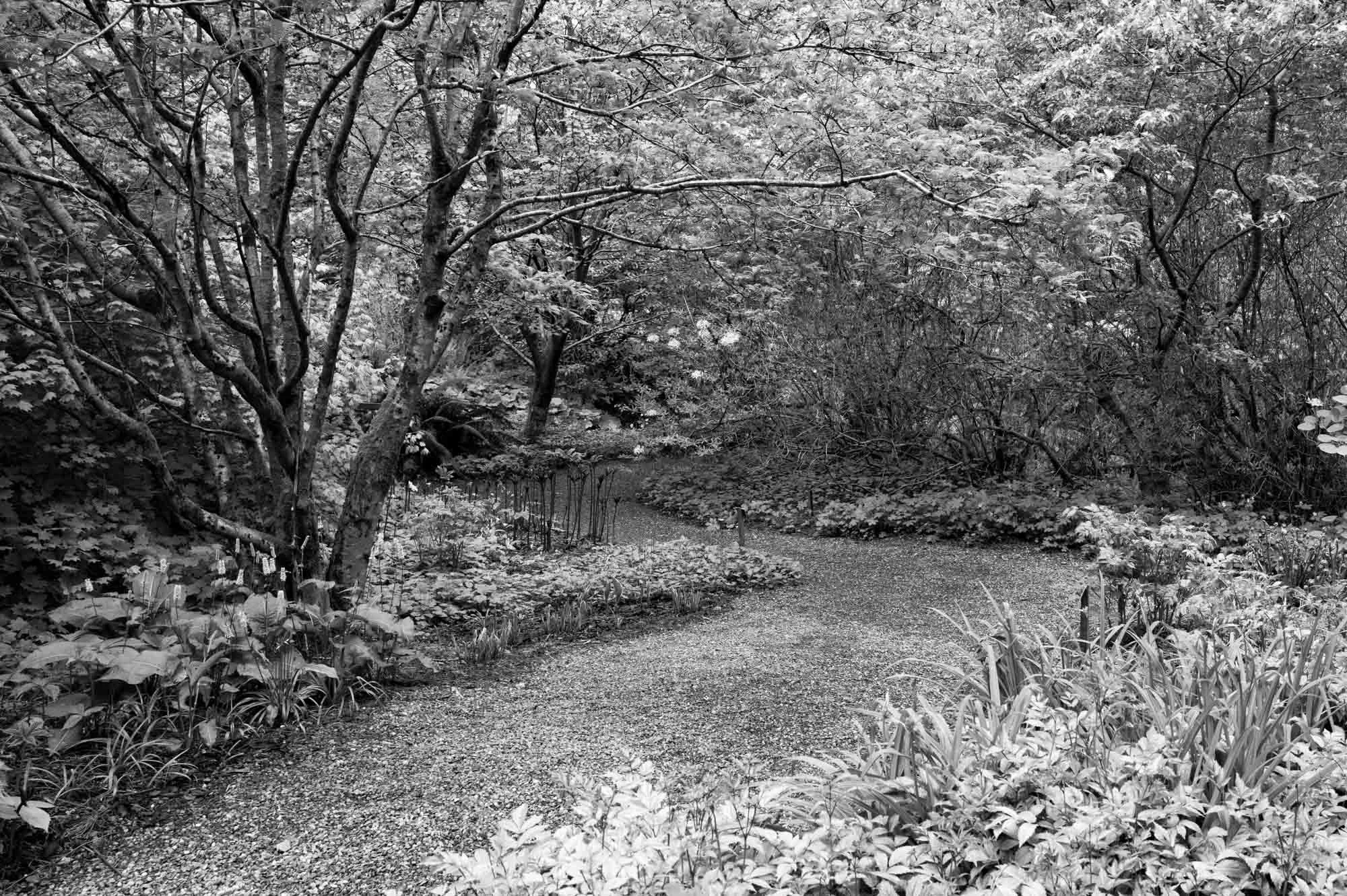 DAWYCK-1011023.jpg
