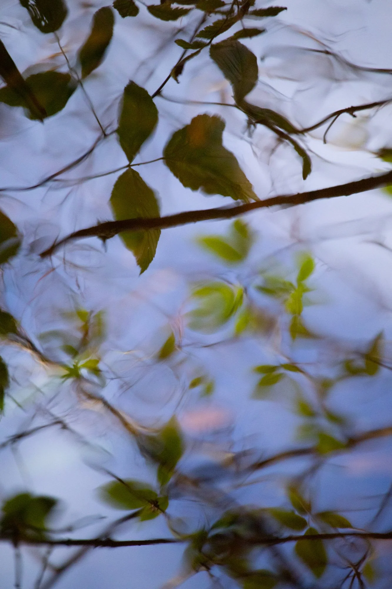 Golspie Burn Reflection II