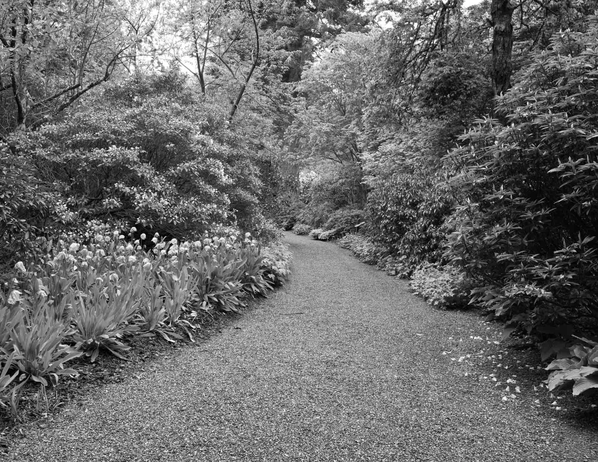 DAWYCK-1011021.jpg
