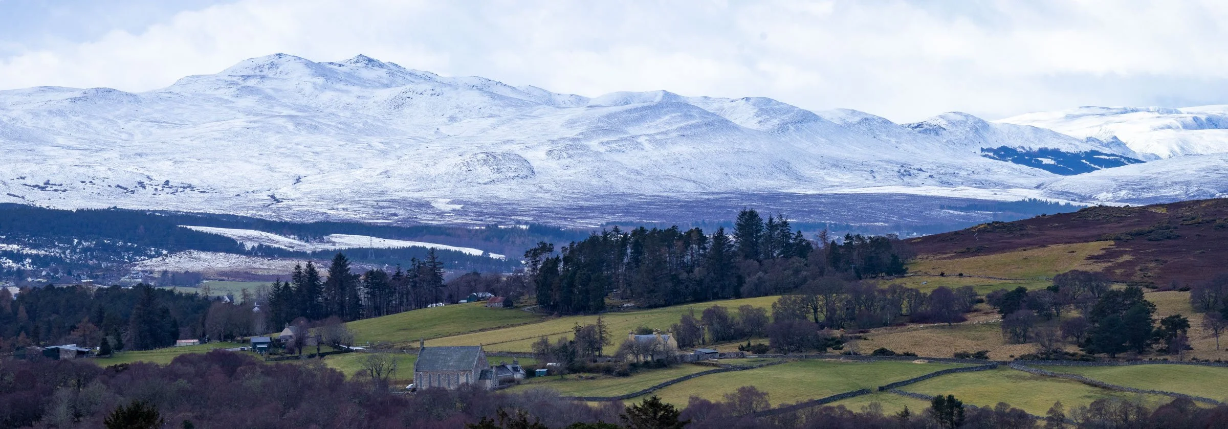 Cahn Brehn Snow-.jpg