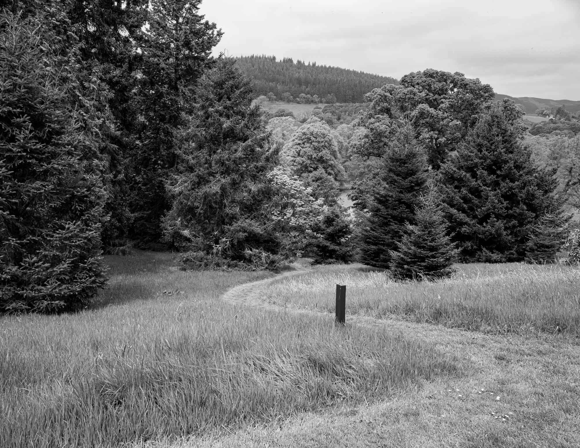 DAWYCK-1011000.jpg