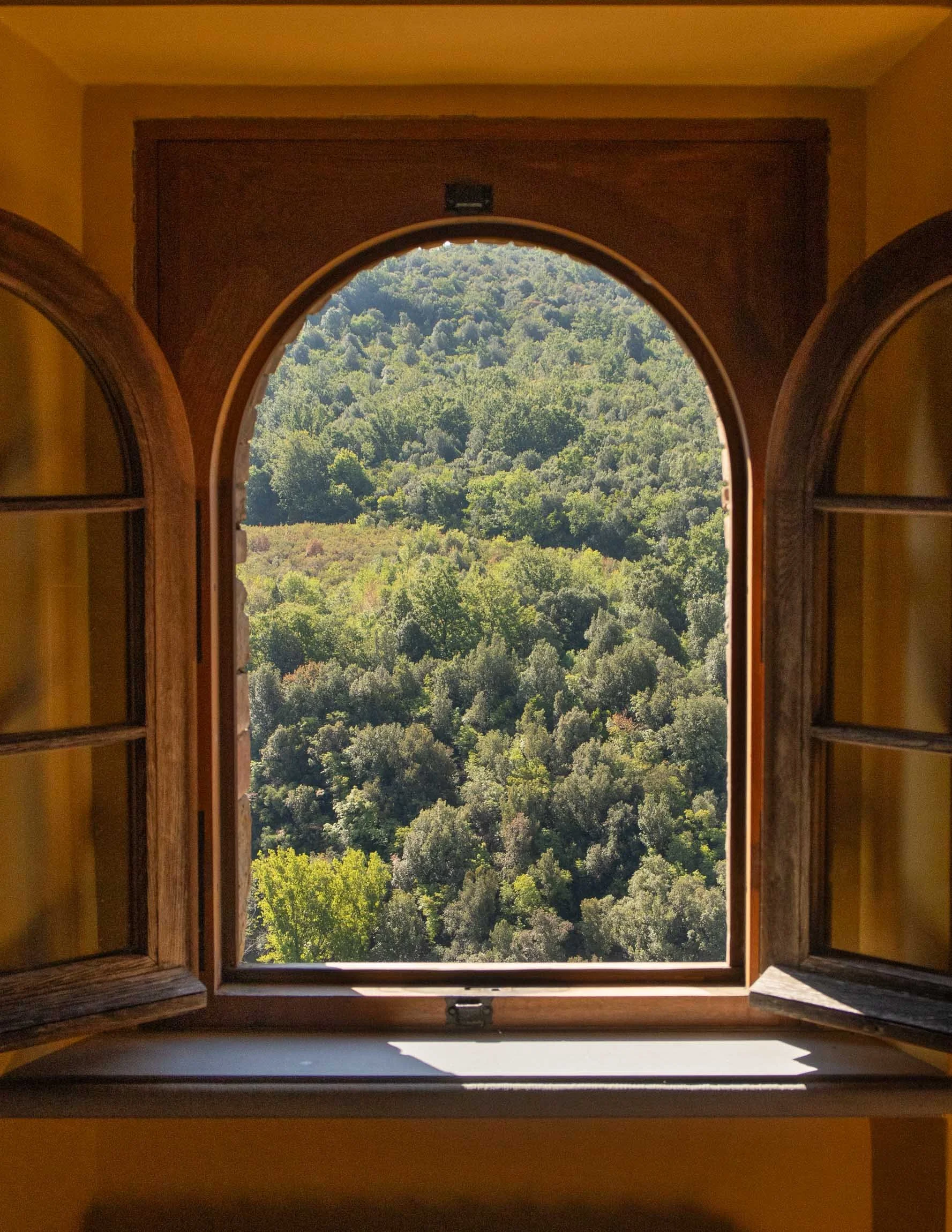 AmongstTuscanTrees26-7232.jpg