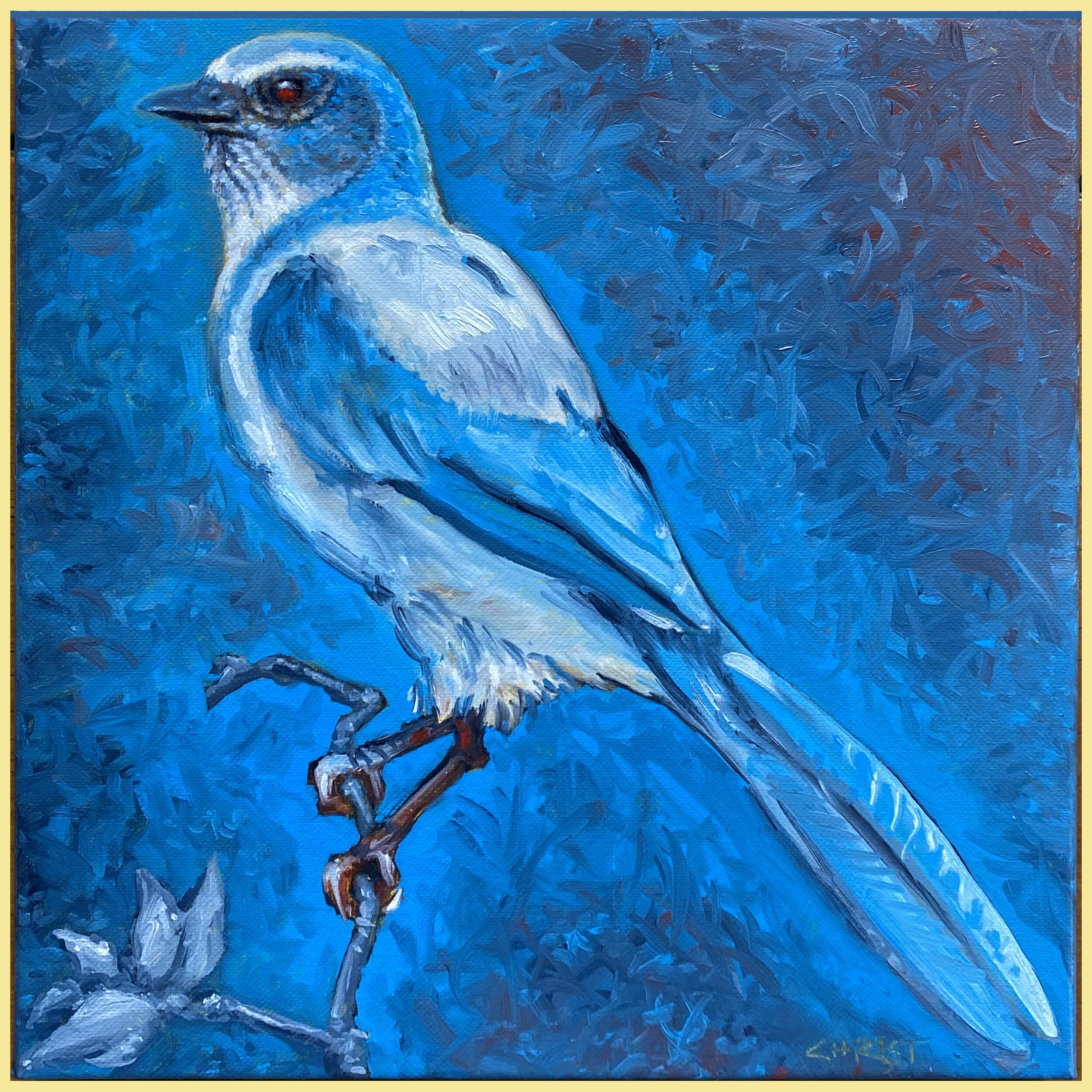 Blue Bird.jpg