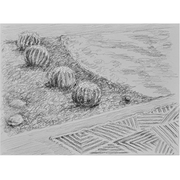 Guardians of the Patio