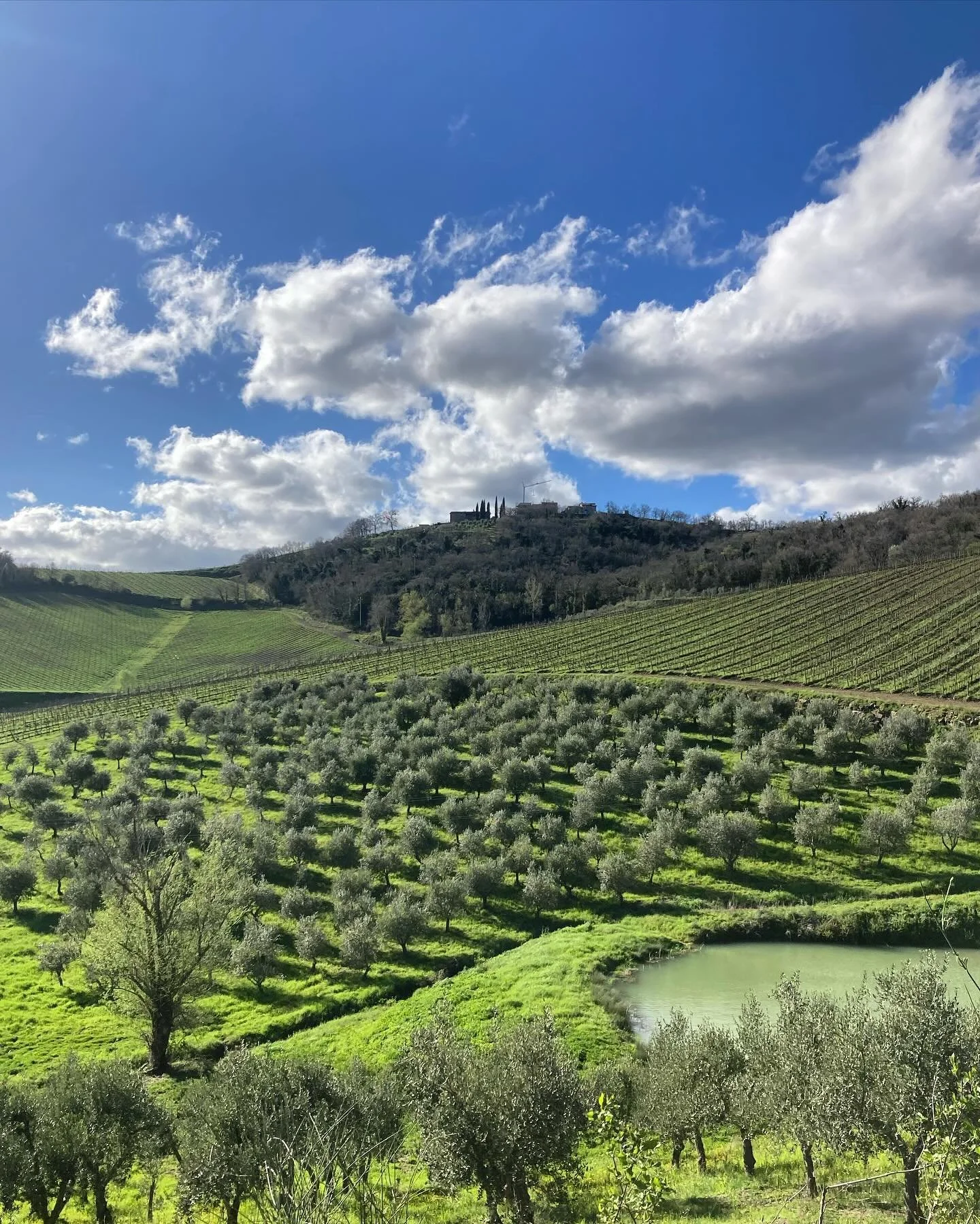 Back in Chianti for a while&hellip;

#toscana #chianti #tuscany #primavera #gardeningitaly #gardenerslife #italy🇮🇹