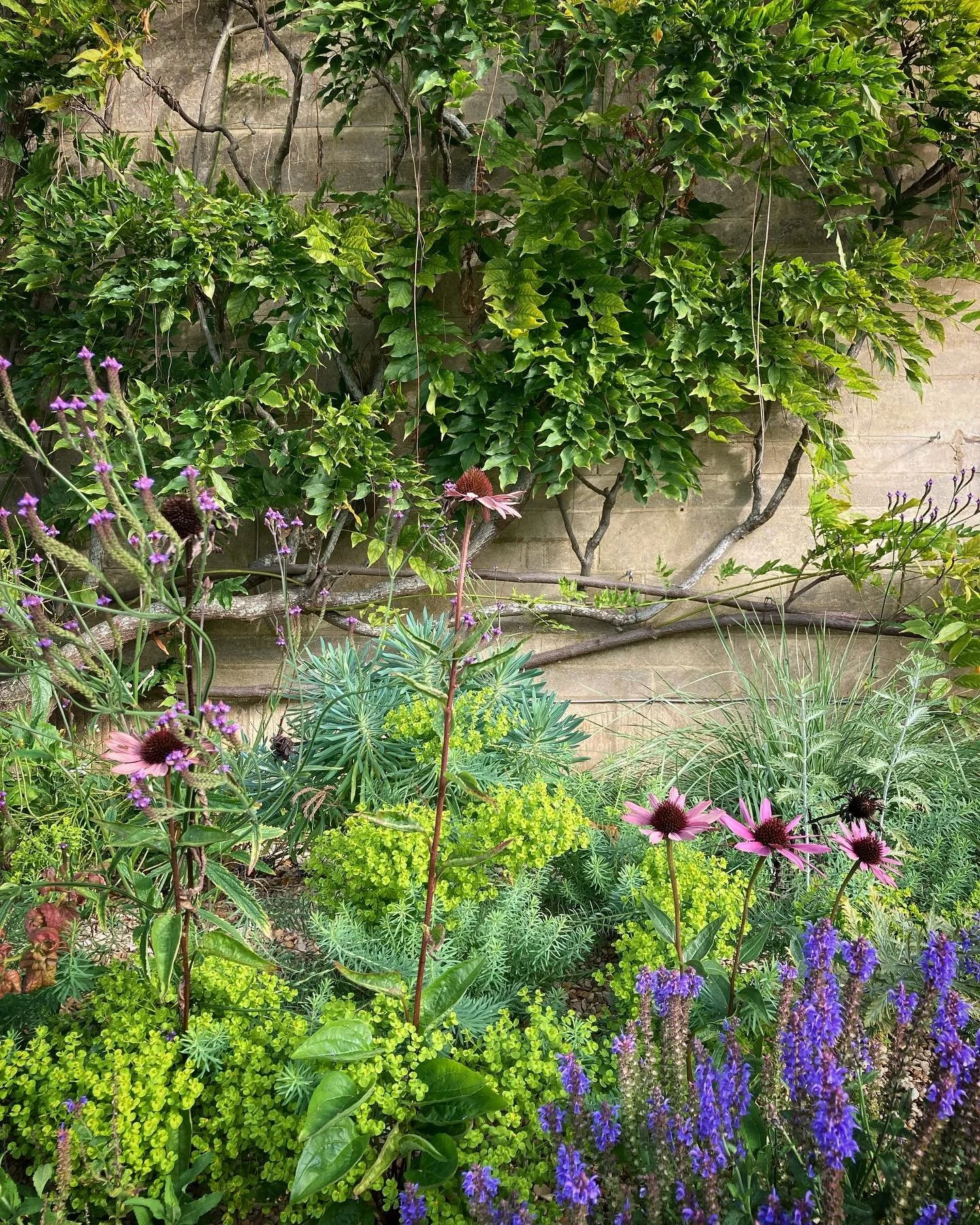 Some photos of a Cotswold garden I designed and finished planting up six months ago.

I didn&rsquo;t have much time to take photos because I was there providing aftercare, but I thought I&rsquo;d share these. 

This is a resilient garden designed for