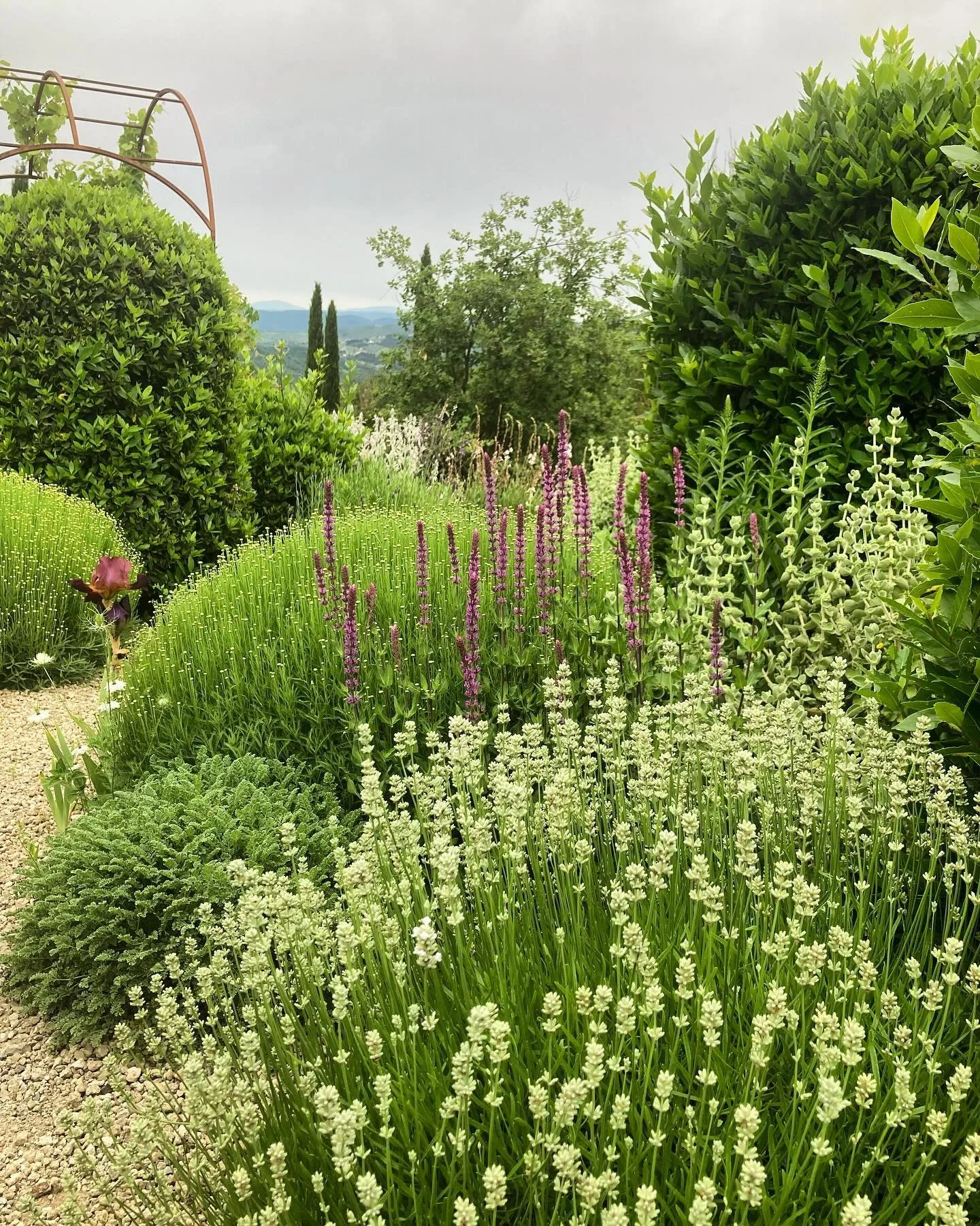 Saturday 8th June 2024 
Temperature: 31c 
Time: 15.45
Condition: Saharan sand filled skies over Italy
Emotion: my last weekend at La Petraia 🥺

#nomadicgardening #gardenerslife #caretaking #gardener #gardeningitaly #tuscany #giardino #chianti #lapet