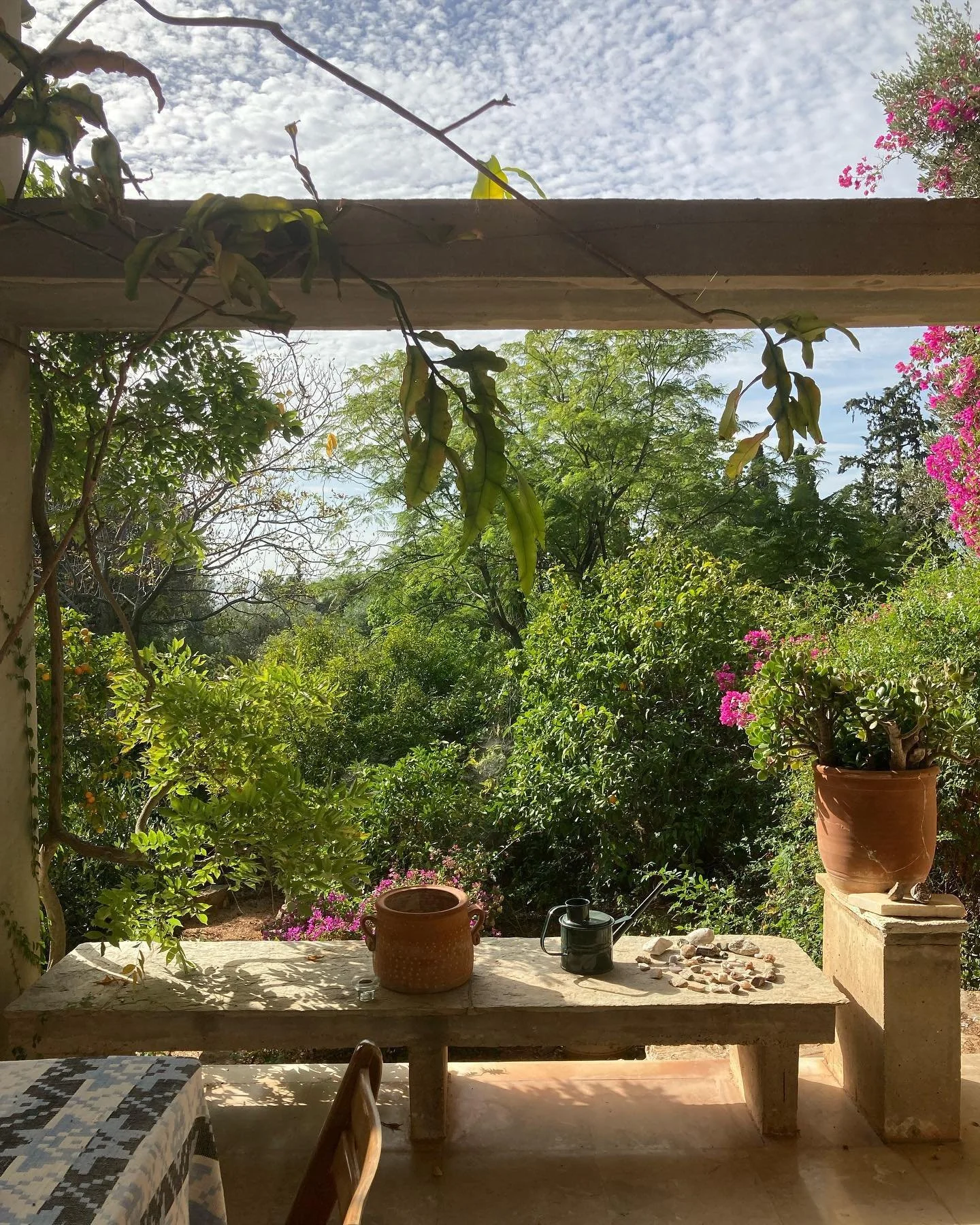 Sparoza moments&hellip;

@sparozagarden #october #2023 #womansgarden #housesndgarden #greece #mediteraneangarden #sallyrazelou #maryjaquelinetyrwhitt @mediterranean.garden.society #20thcenturyarchitecture #midcenturymodern #architecture #jerzysoltan 