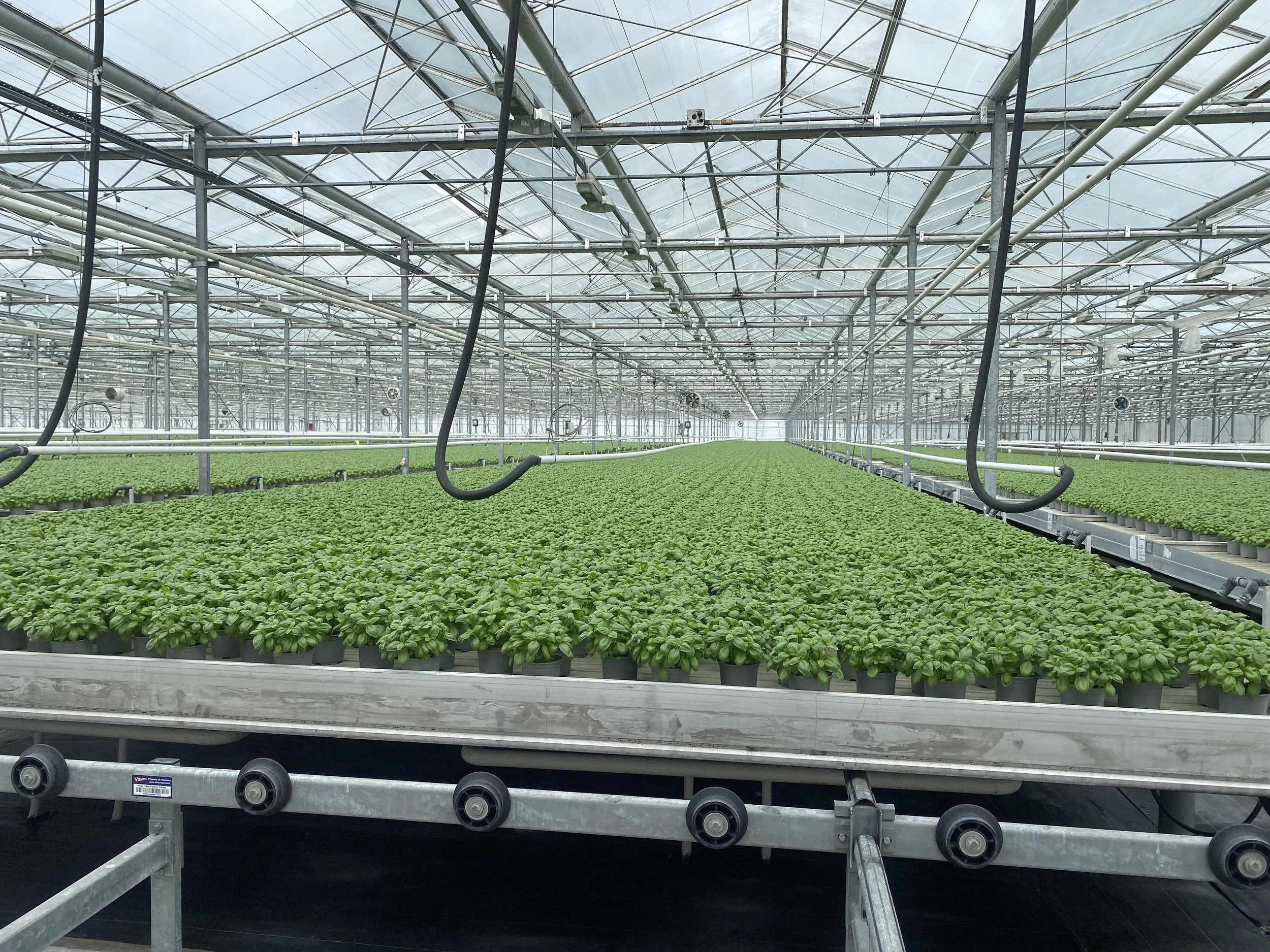 Albotherm leads £2M collaborative project to scale low-emissions greenhouse technology for UK growers&nbsp;