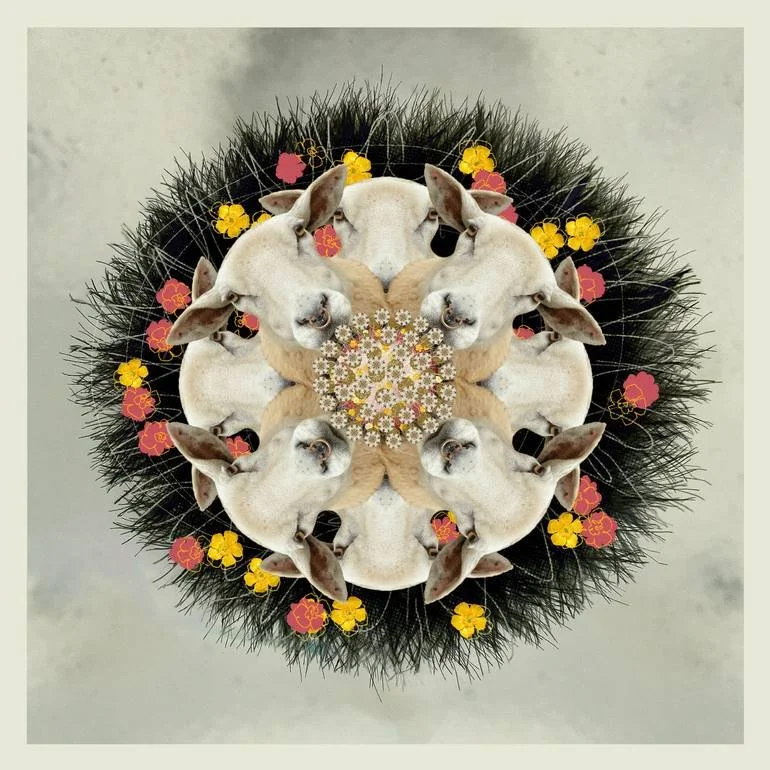 Kaleidoscopic arrangement of various sheep surrounded by yellow and pink flowers. Artist Czar Catstick via BFA Gallery Online British Bespoke Fine Art Limited Edition Artworks, Prints 