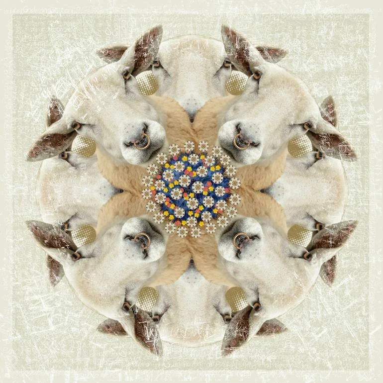 A symmetrical, kaleidoscope-style image featuring several sheep with rings in their noses, arranged around a colorful, floral mandala pattern. Artist Czar Catstick via BFA Gallery Online British Bespoke Fine Art Limited Edition Artworks, Prints 