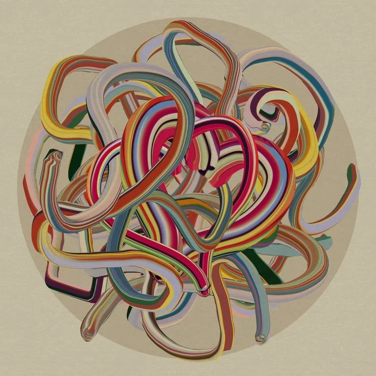 Colorful tangled rubber hoses in a circular pattern on a beige background.
