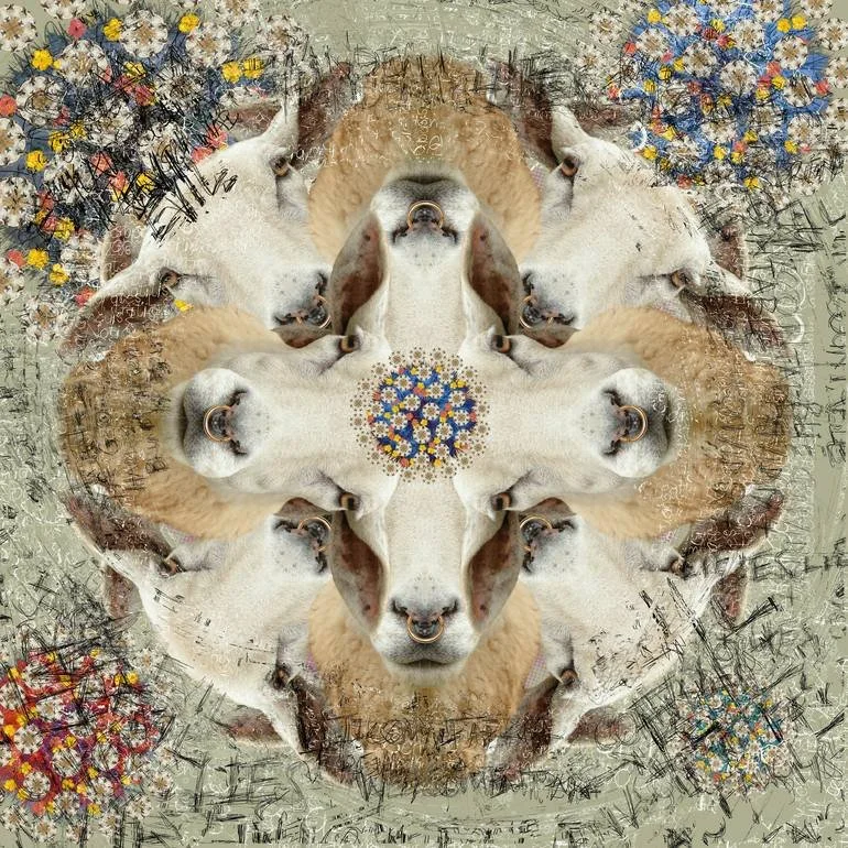 A digital artwork featuring a symmetrical pattern of sheep heads, surrounded by floral and abstract designs. Artist Czar Catstick via BFA Gallery Online British Bespoke Fine Art Limited Edition Artworks, Prints 