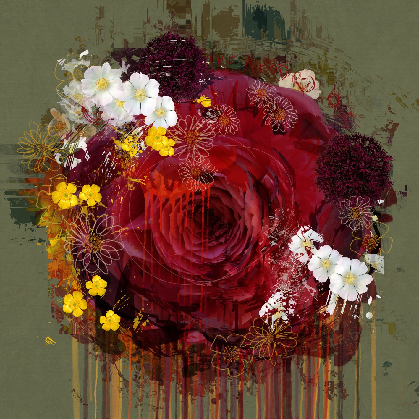 New Rose