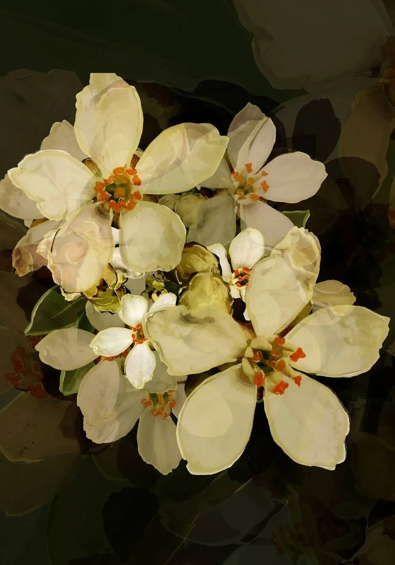 10644719-JPEQLPYH-7.jpg
