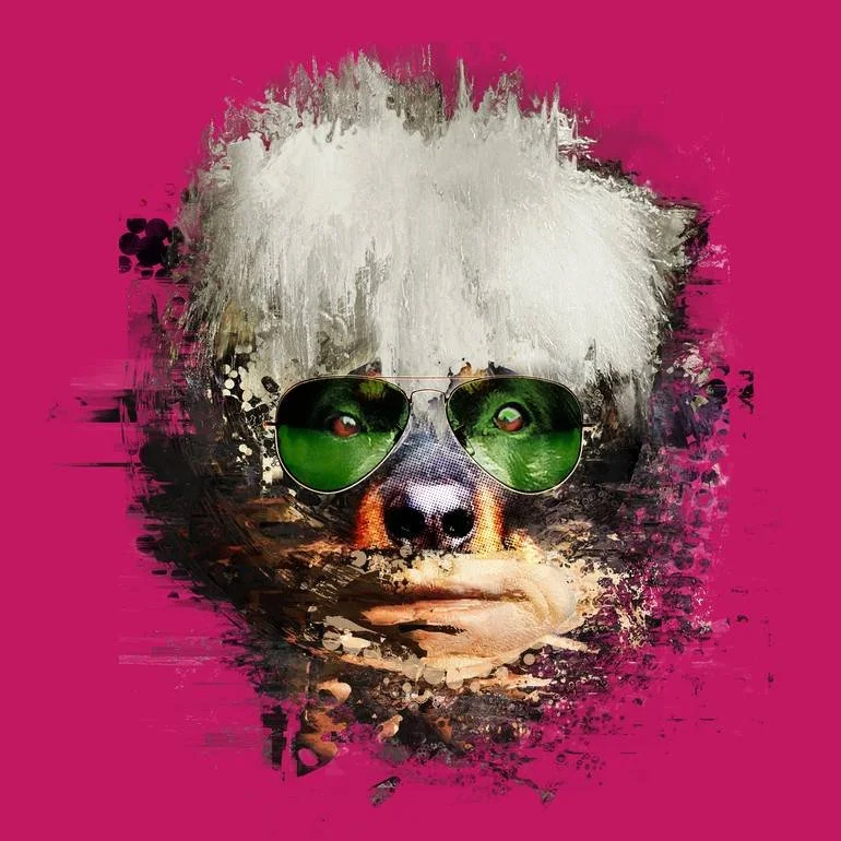 Artist Czar Catstick BFA Online Bespoke British Fine Art Gallery Giclee prints photography Artworks Andy warhol pooch baxter mash up A digital artwork of a dog with white fluffy warhol wig hair wearing green sunglasses on a pink background.