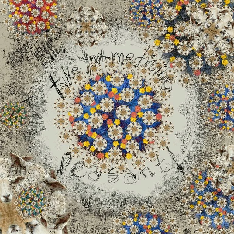 Multiple floral arrangements with various colors and patterns, handwritten words and signatures around the designs, and small sheep photographs embedded in the decoration. Artist Czar Catstick via BFA Gallery Online British Bespoke Fine Art Limited E