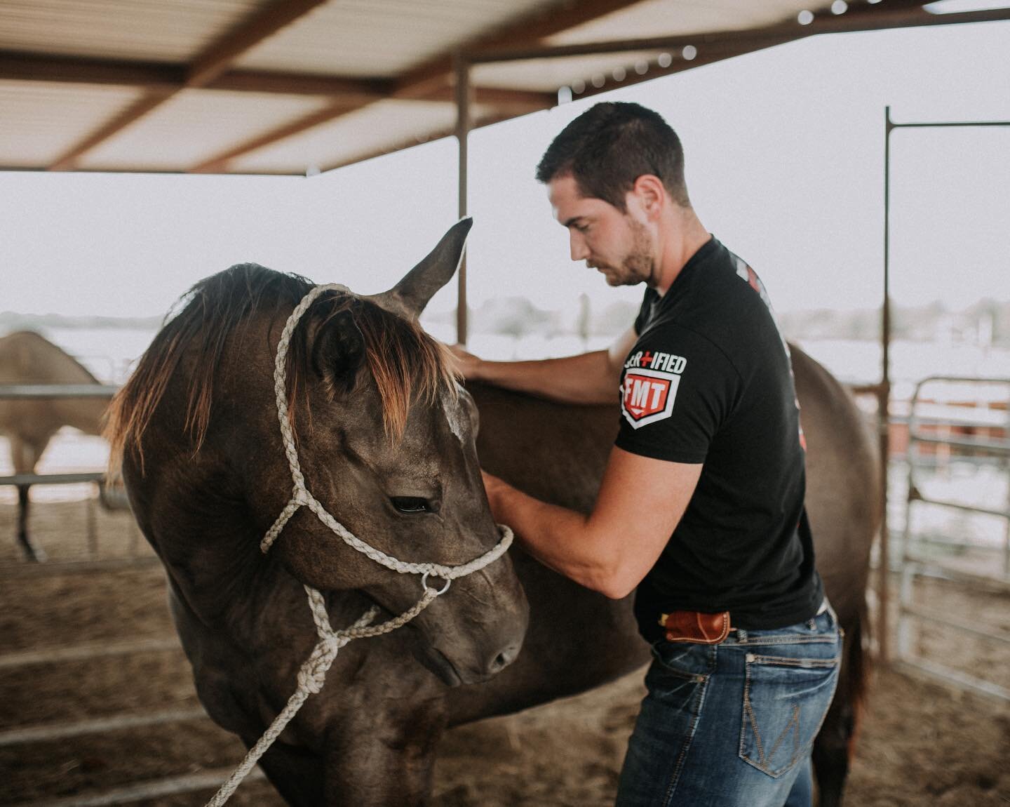 Heading down to Houston to work on some show animals! Making sure they feel in tip top shape just in time for the Houston Livestock Show👏🏻 ⁣
⁣
#houston #houstonlivestockshowandrodeo #showanimals #ffa #4h #chiro #animalchiro#animal #horse #horsesofi